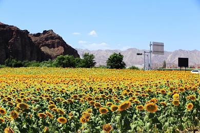 类塞尔达梦见岛新作《Castaway》上架Steam